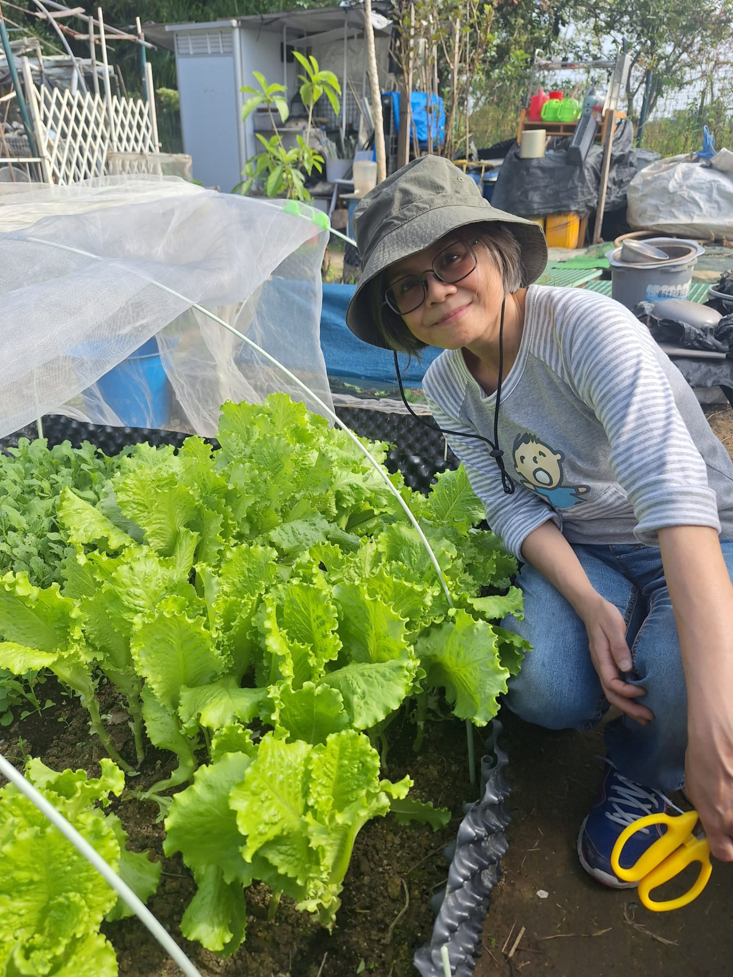 生菜長成了：蹲下來與自己種的生菜齊高，是這一季最實在的量度。
