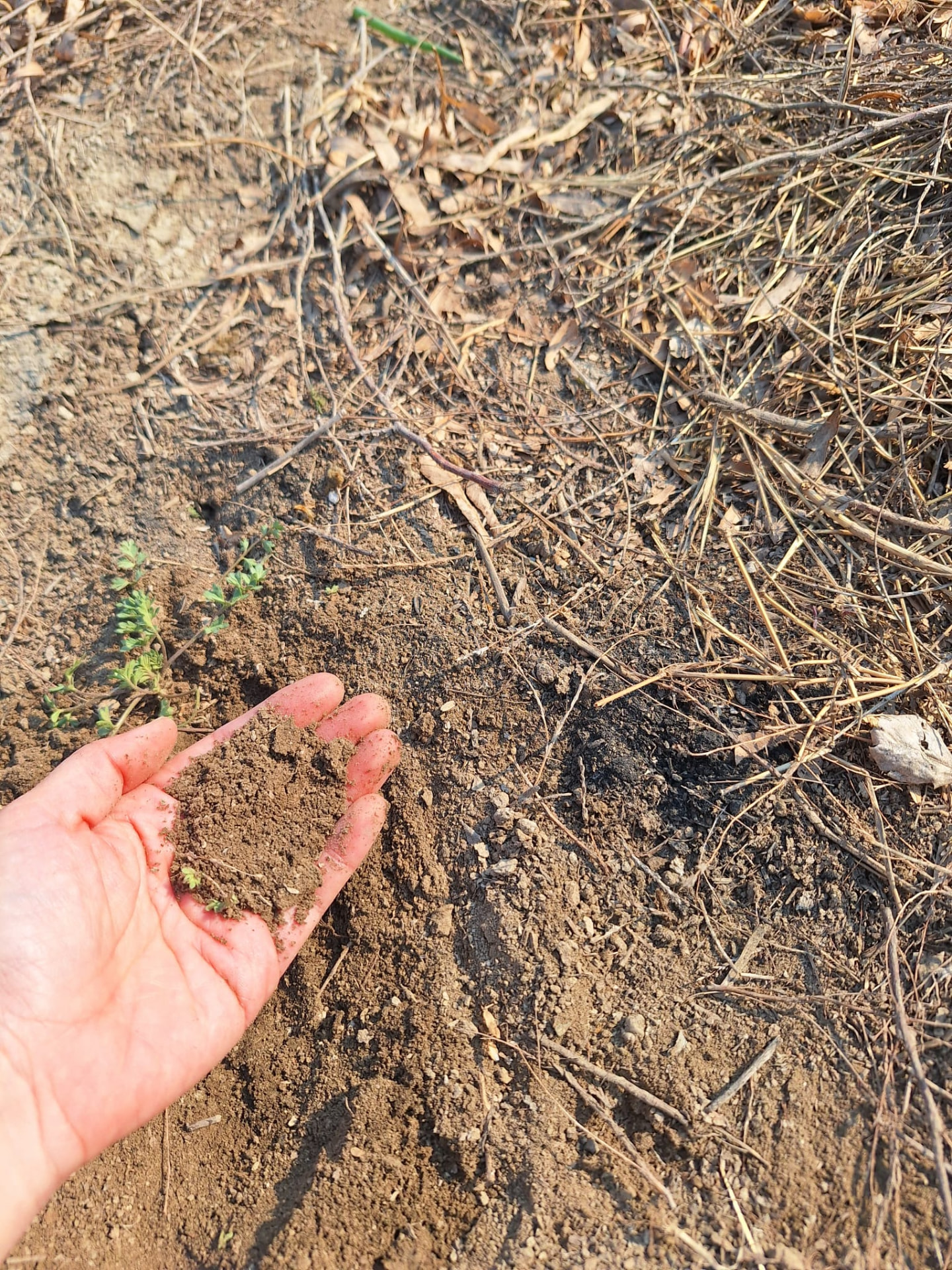 分區取樣：在不同位置取樣比較顏色、氣味與濕度，建立改善前的基線。