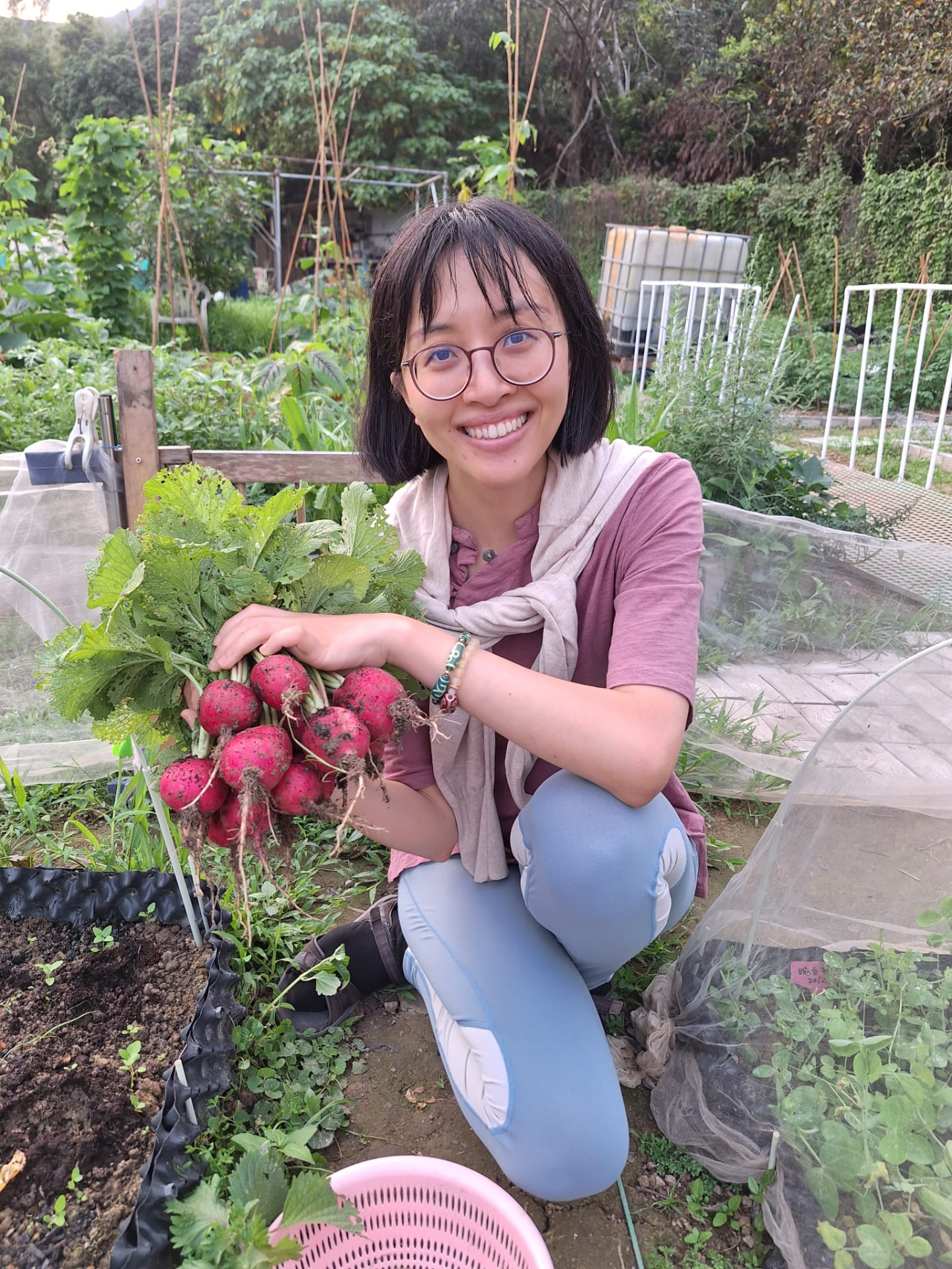 紅菜頭：顏色深、體積不大，但味道濃。