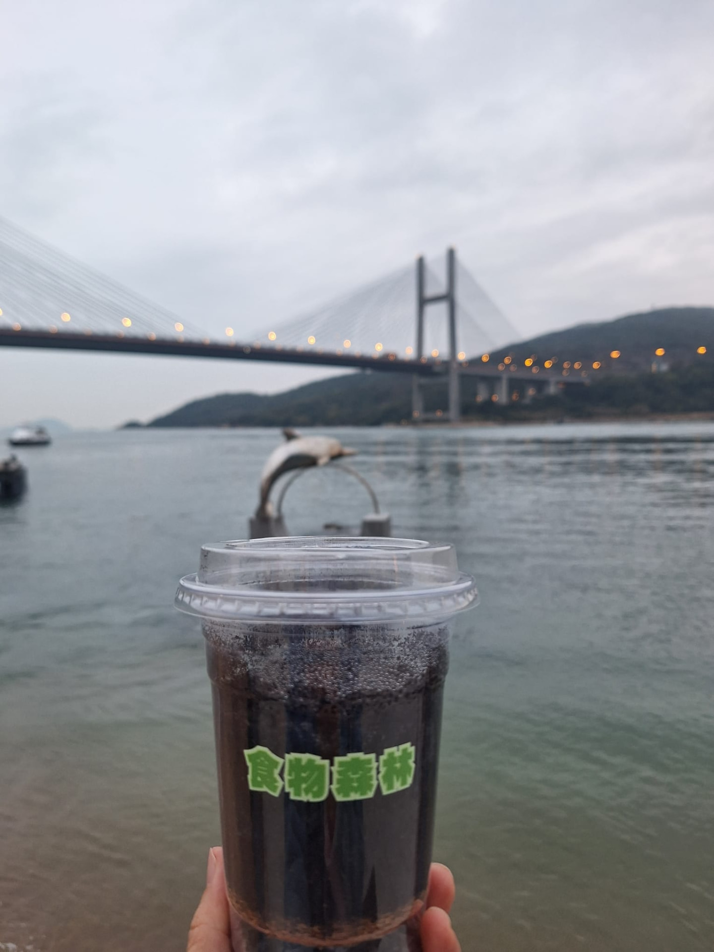 回程路上：剛做好的那一杯土，在青馬橋邊拍下。