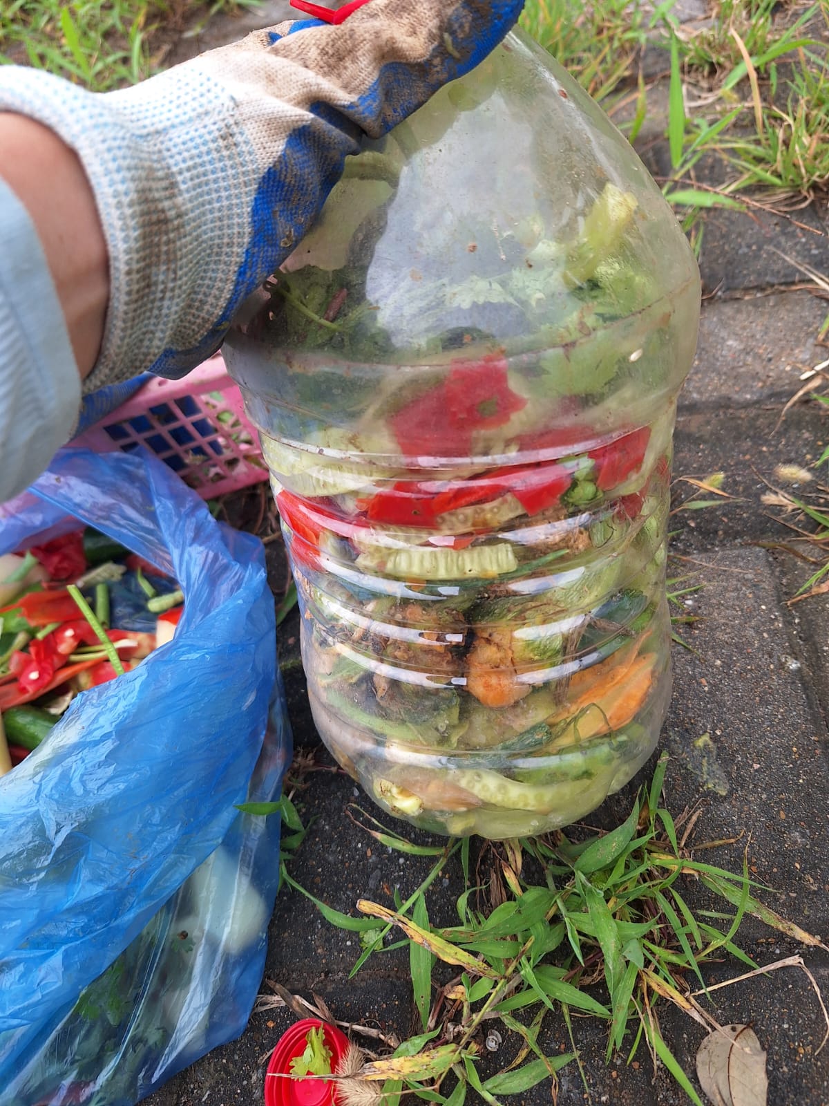 收集：家居與農場廚餘先做分類，去掉油鹽與肉類，切碎後入樽，方便計量與運送。