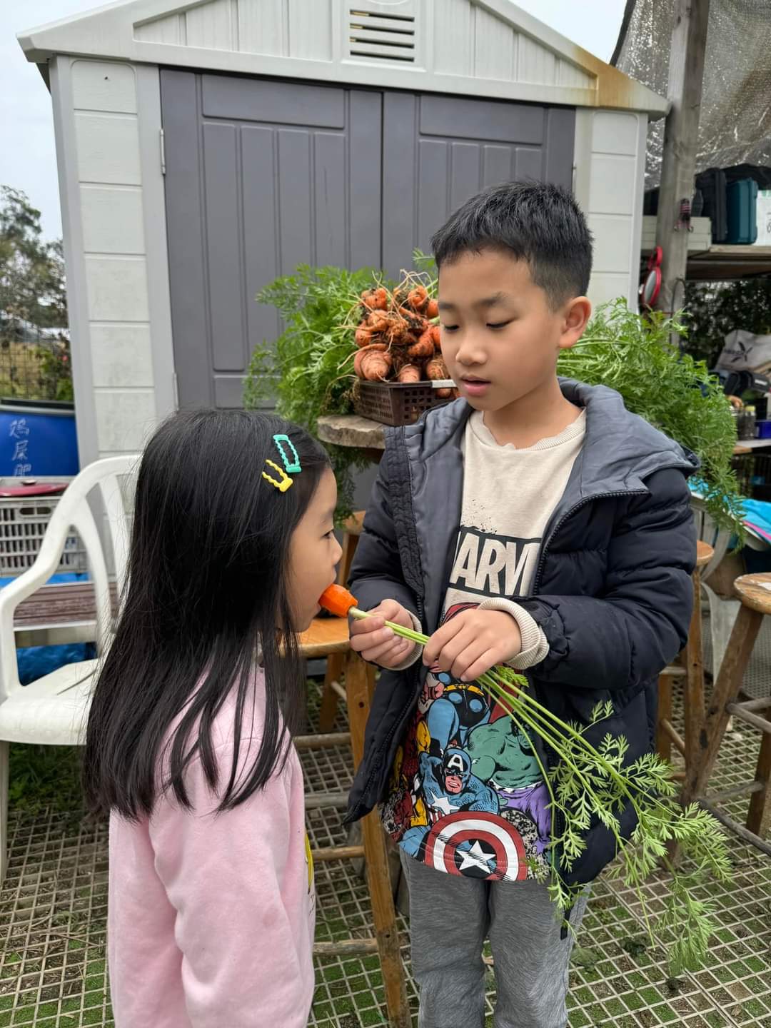 分享一口：孩子把自己種的紅蘿蔔分給同伴。
