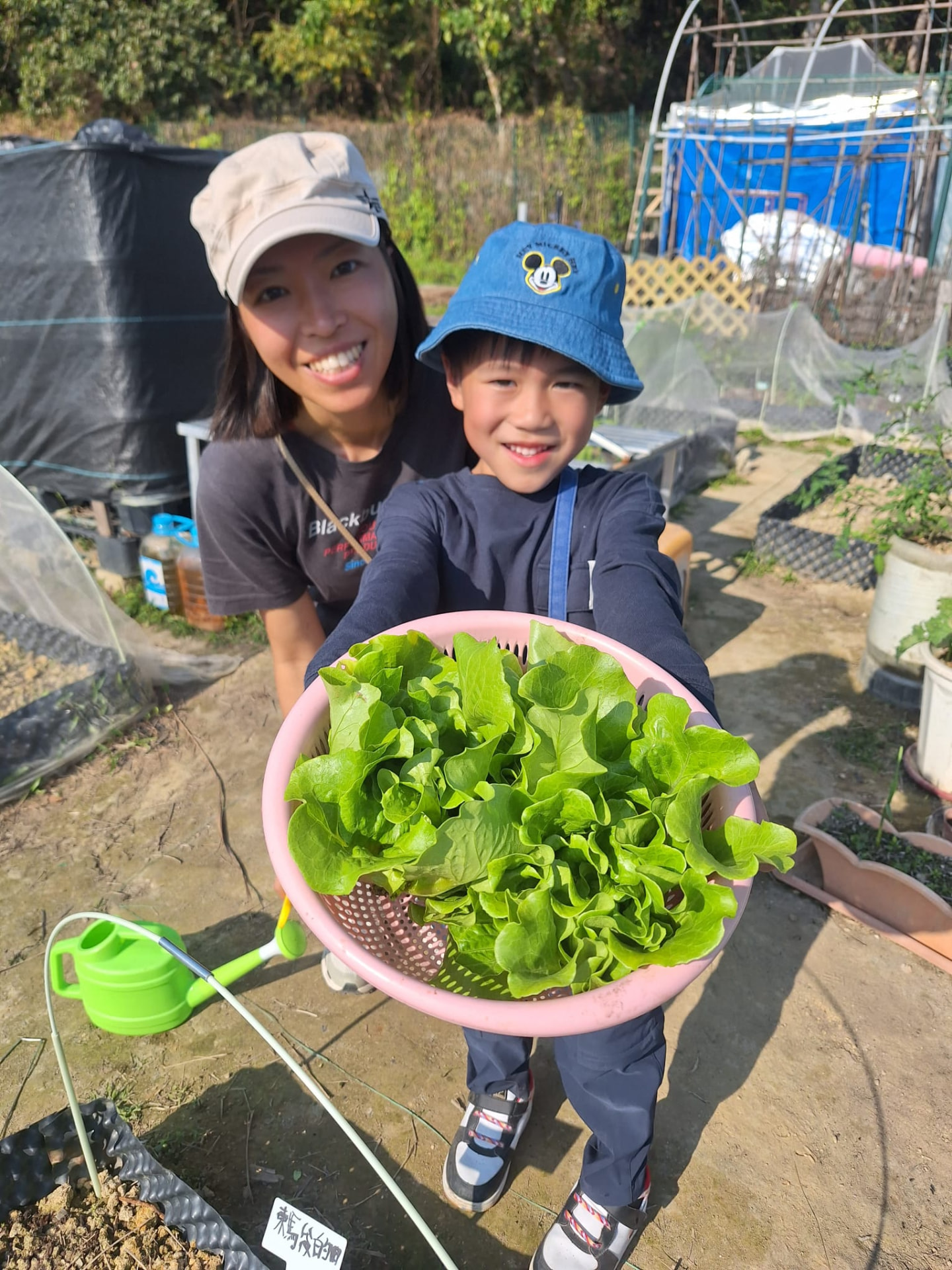 母子的一籃：一籃生菜是兩個人整季照顧的結果。