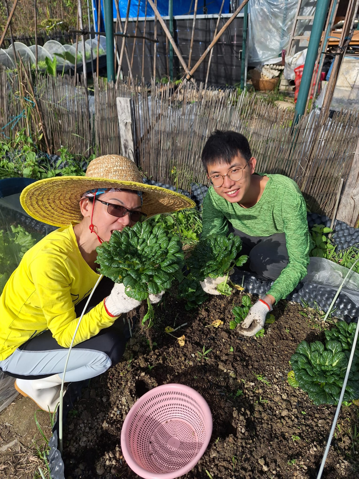 兩人一畦：學員兩人一組負責一塊畦床，由整地、下種到收成全程照顧。
