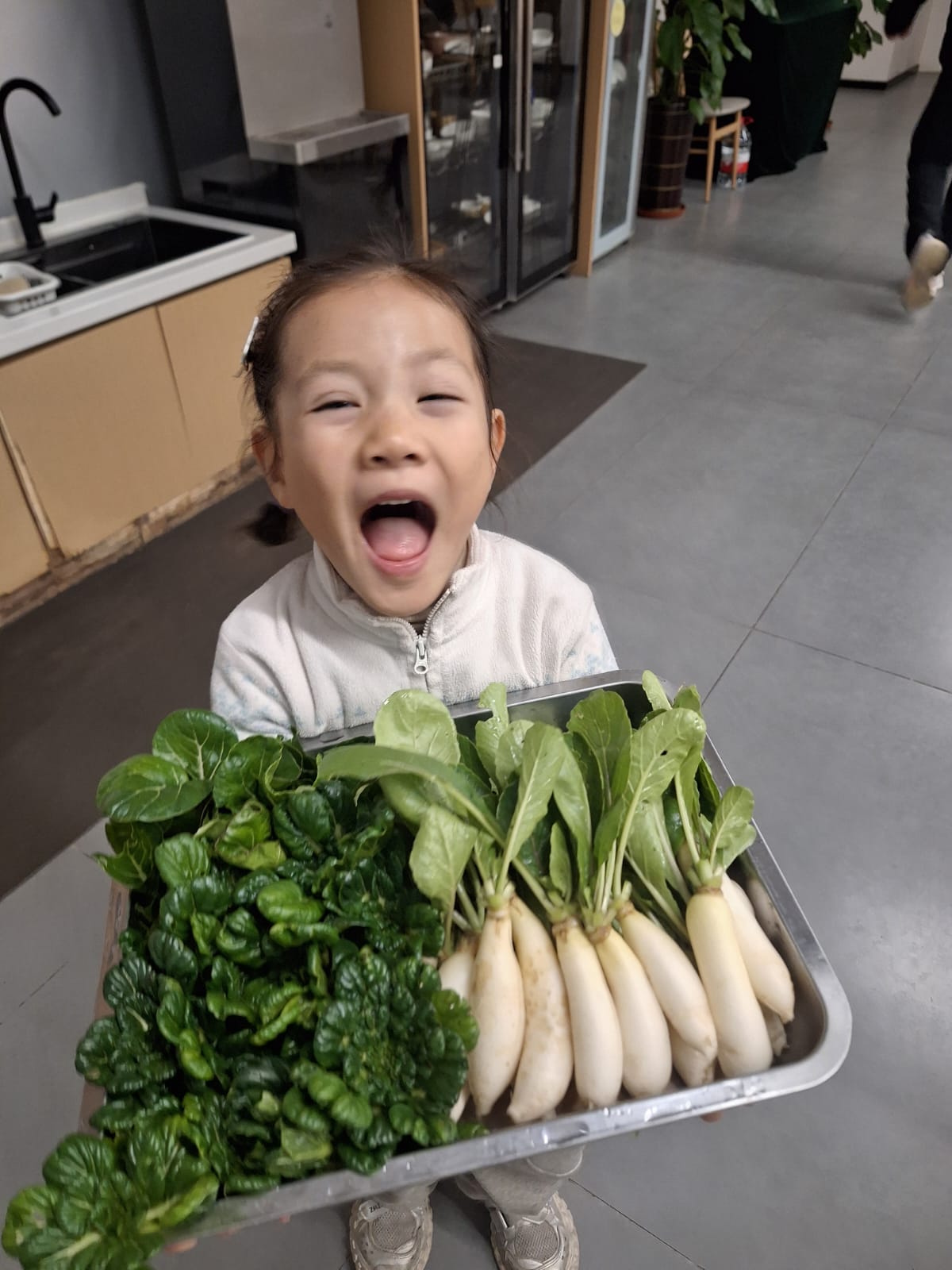 回到餐桌：蘿蔔與葉菜洗淨上桌，研究的終點是真正吃得到的食物。