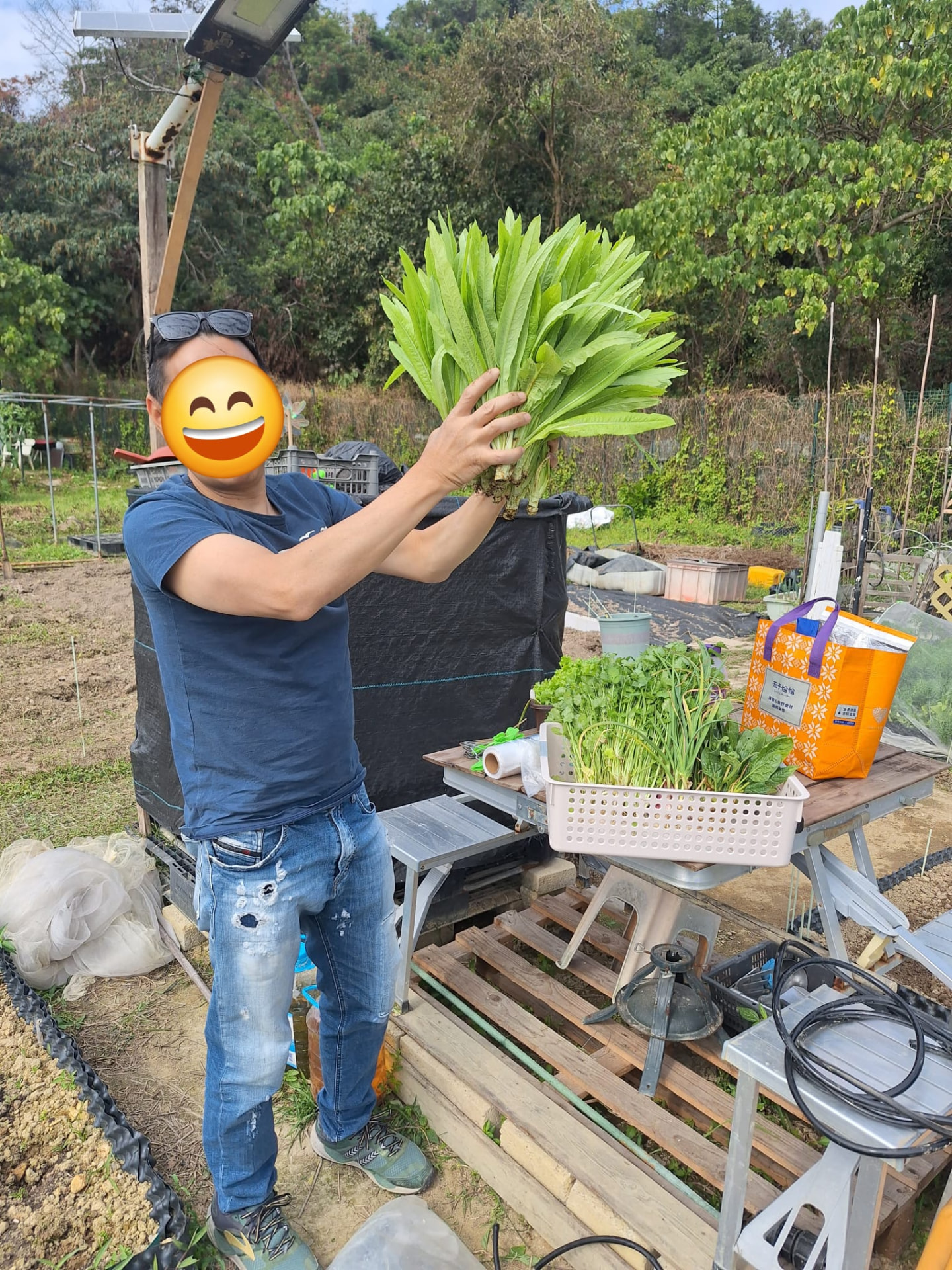 自己的一把：學員舉起親手種的青菜，這一把由播種算起約六十天。