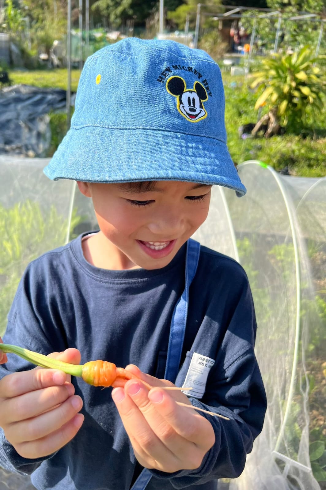 第一條紅蘿蔔：孩子拔出自己的第一條紅蘿蔔。