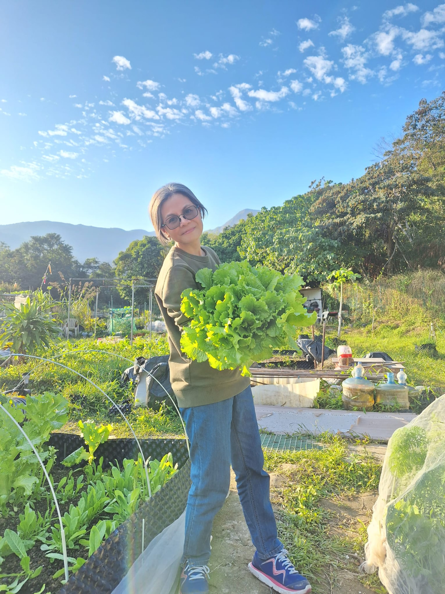 一棵超過臂長的生菜：土養得好，葉菜可以長到出乎意料的大。