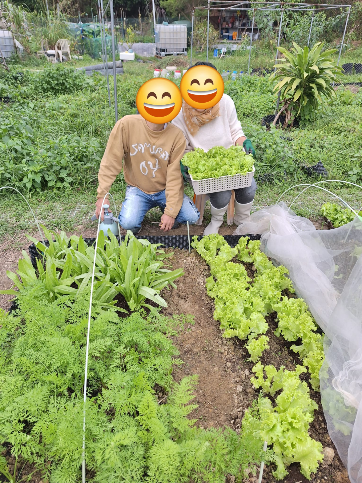 最後一次落田：一季完結前的合照，畦床已經準備翻土休養。